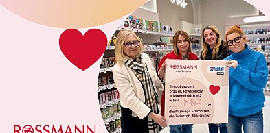 Pomagamy jak umiemy w Pile: ponad 8 tysięcy złotych dla zwierzaków