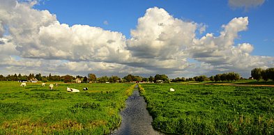 2,5 mln zł na spółki wodne w Wielkopolsce