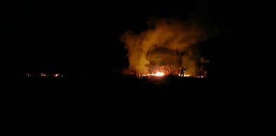 Płonęły trawy i nieużytki