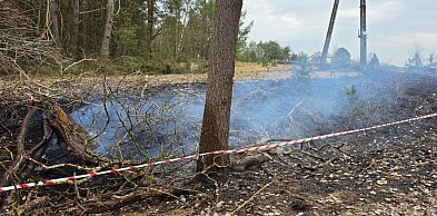 Drzewo przewróciło się na linię energetyczną