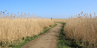 Rozdysponowano pieniądze na drogi do gruntów rolnych. Ile dostały gminy?