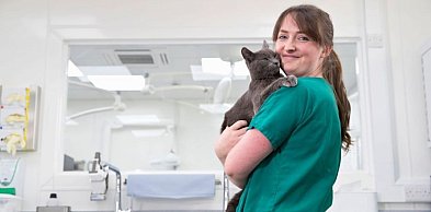 Weterynarz – jak zacząć naukę w Ramus?