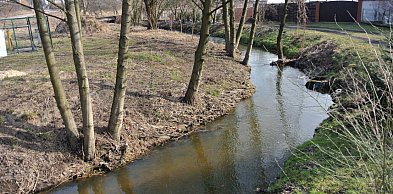 W Białośliwiu posprzątają nie tylko Białośliwkę