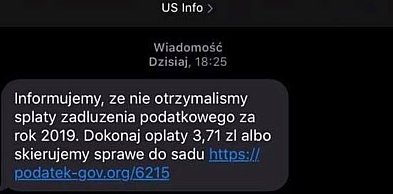 Badanie: co 5 ankietowany zetknął się z fałszywą wiadomością, udającą skarbówkę lu