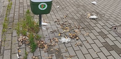 W końcu same zgniją? Tak ktoś pozbywa się obierek po ziemniakach