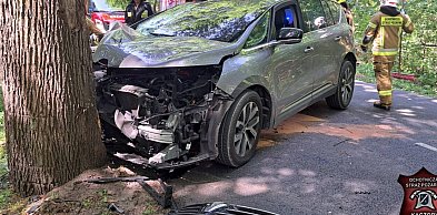 Zjechał z drogi - wjechał w drzewo