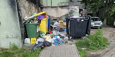 Na zapleczu "zielonej" kamienicy