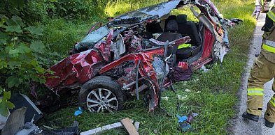 Wypadek na DK11. Dwie ofiary śmiertelne