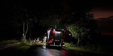 Zderzył się z powalonym na drogę drzewem