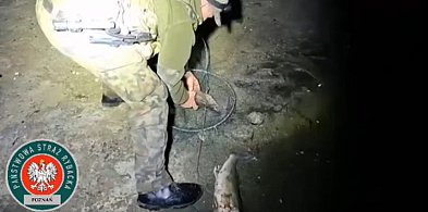 Kłusował nocą na jeziorze Kopcze. Zdążył wyciągnąć 40 kilogramów ryb!-43234