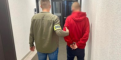 Wyrwał 73-latce torebkę i uciekł-43266
