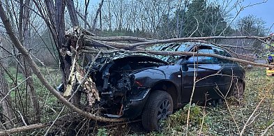 Wypadek w Nadolniku. Kierowca ranny, drzewo do wycięcia-44474