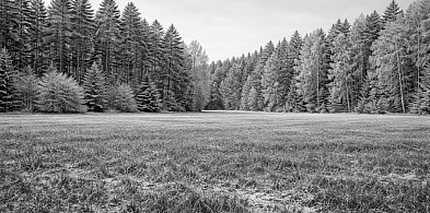 Tragiczny finał poszukiwań mieszkańca Kaczor-46063