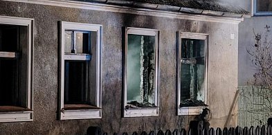 83-latka przeżyła pożar. Jej zwierzęta także. Teraz potrzebują naszej pomocy!-46075