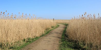 Rozdysponowano pieniądze na drogi do gruntów rolnych. Ile dostały gminy?