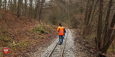 Białośliwie – Kocik Młyn. Wąskotorówka po modernizacji-44987