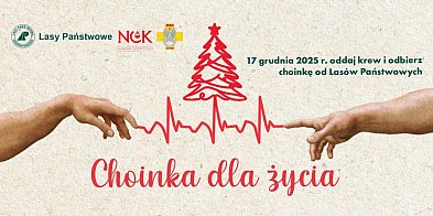 Oddaj krew i odbierz choinkę-45483