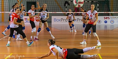 Volley Piła zagra bez trenera i siedmiu zawodniczek. Co się stało?