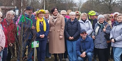 Buk czerwonolistny upamiętnił Jacka Markiewicza