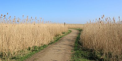 Rozdysponowano pieniądze na drogi do gruntów rolnych