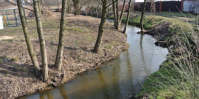 W Białośliwiu posprzątają nie tylko Białośliwkę