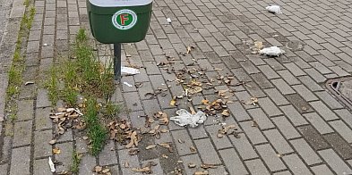 Tak ktoś pozbywa się obierek po ziemniakach