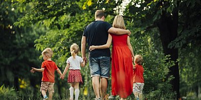 Dzień Rodzicielstwa Zastępczego - piknik przy Okrzei