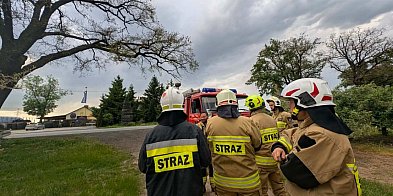 Jest pierwsza ofiara niebezpiecznych gąsienic!