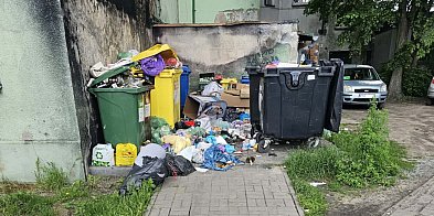 Na zapleczu "zielonej" kamienicy