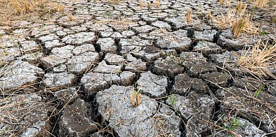Wielkopolska wysycha. "Problem jest alarmujący"