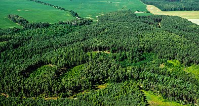 Znakomity pomysł! Na Górze Dąbrowej stanie wieża widokowa. Ale to nie wszystko...-44597