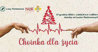Oddaj krew i odbierz choinkę-45483