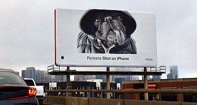 Reklama lokalna w Pile – jak firmy budują rozpoznawalność w przestrzeni miasta?-45958