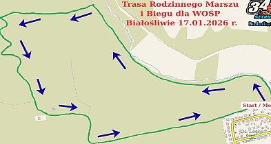 Rodzinnie - marszem i biegiem dla WOŚP-46216