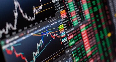 Larkstons: Dlaczego przejrzystość staje się kluczowym czynnikiem przy wyborze firm