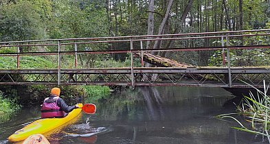 Spłyną majową Dobrzycą
