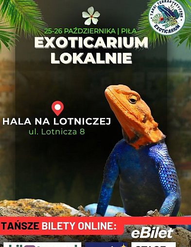 Egzotyczne zwierzęta z całego świata zawitają do Piły!-43977