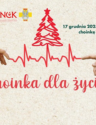 Oddaj krew i odbierz choinkę-45483