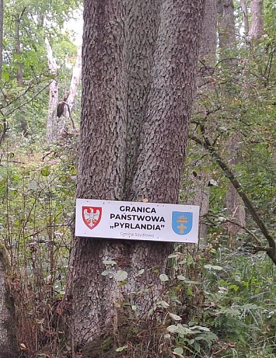 Spłyną majową Dobrzycą