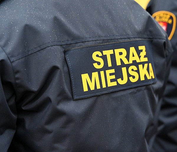 Zapuka strażnik, zapłacisz karę. Ruszyły kontrole w całej Polsce-43902