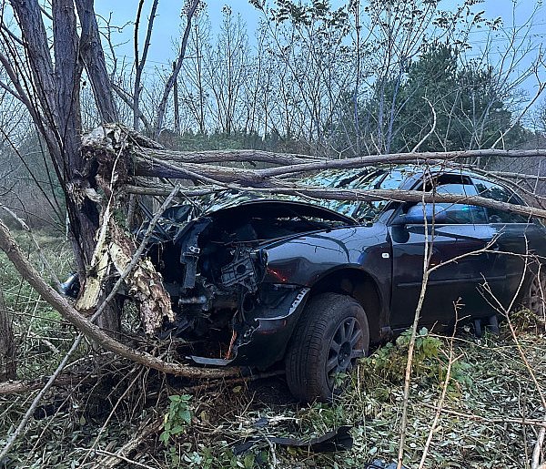 Wypadek w Nadolniku. Kierowca ranny, drzewo do wycięcia-44474