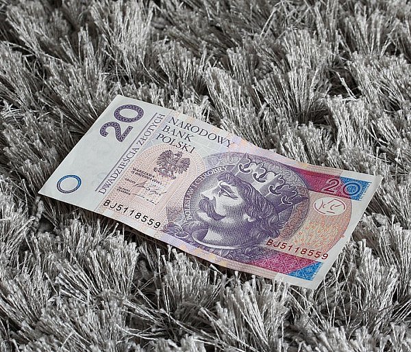 Nowy banknot o nominale 20 zł. Wchodzi do obiegu w tym tygodniu-44565