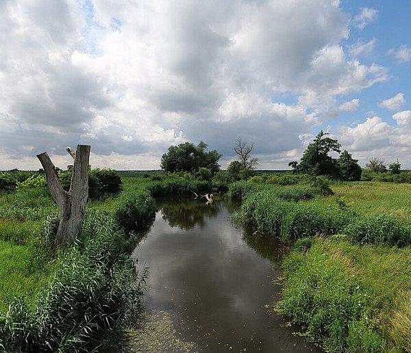 Co dalej z nowym parkiem narodowym? Minister klimatu zdradza plan po wecie-44715