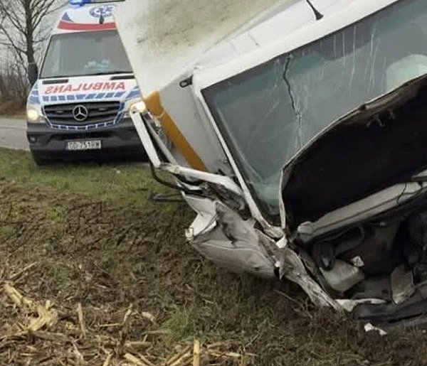 Wjechał w drzewo-44975