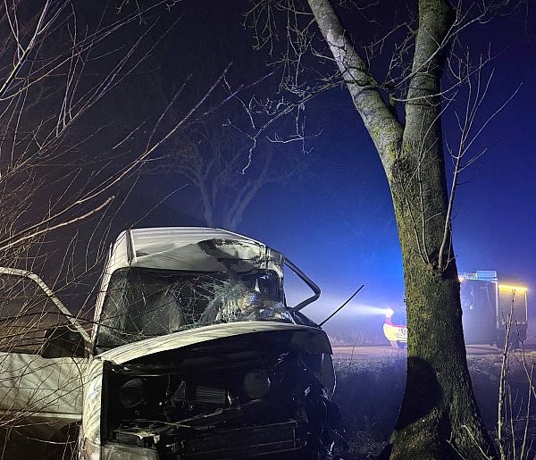 Wjechał w drzewo-45369