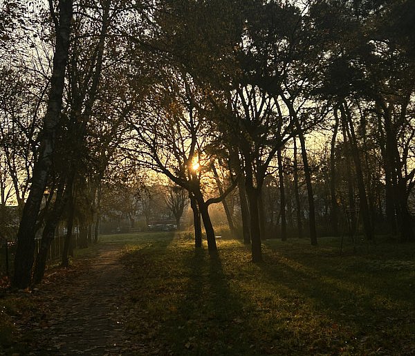 Nadchodzi najkrótszy dzień w 2025 roku. Sprawdź, kiedy przypadnie-45717