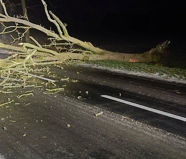 Drzewo zatarasowało drogę-45970