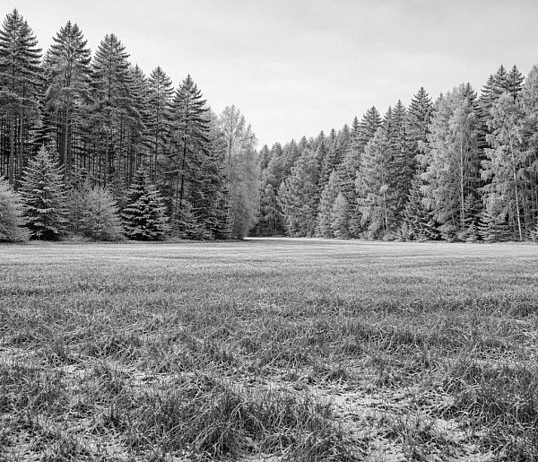 Tragiczny finał poszukiwań mieszkańca Kaczor-46063