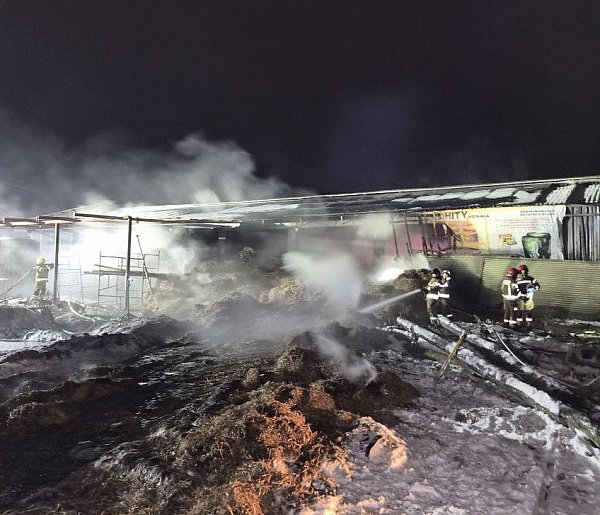 Walczyli z ogniem 5 godzin. Pożar obory w Topoli-46147