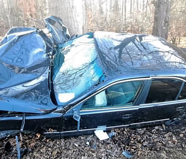 Kierowca BMW zakończył jazdę na drzewie